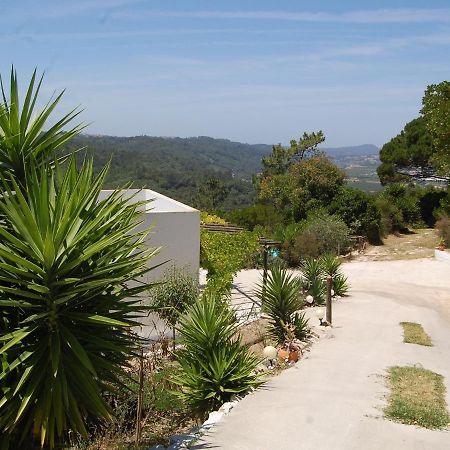 A Perfect Villa With Pool Terrace And Garden Alcobaça Eksteriør billede