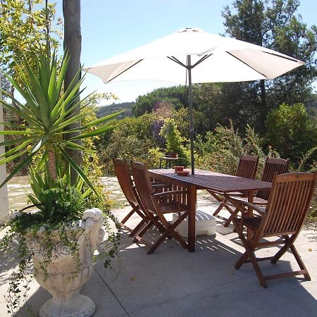 A Perfect Villa With Pool Terrace And Garden Alcobaça Eksteriør billede