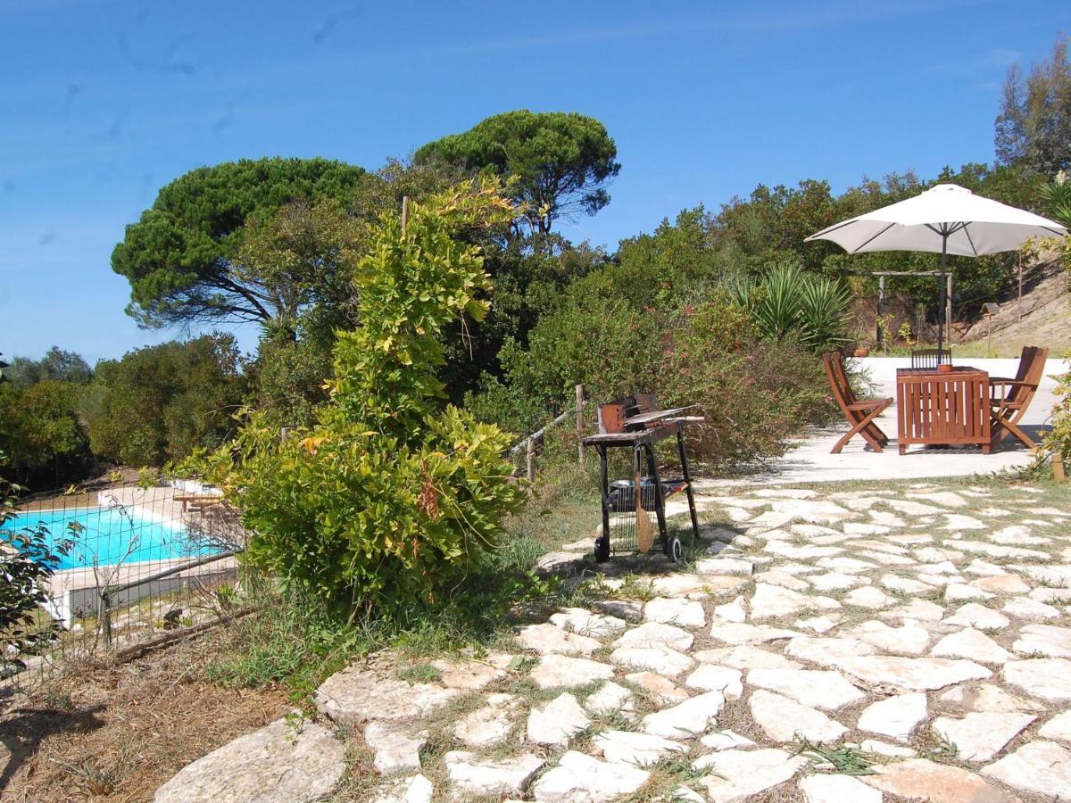 A Perfect Villa With Pool Terrace And Garden Alcobaça Eksteriør billede