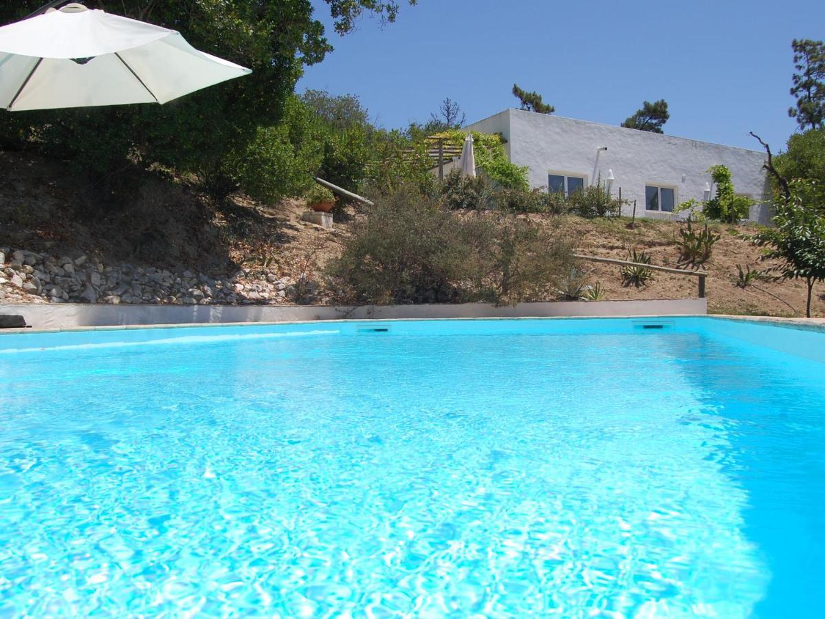 A Perfect Villa With Pool Terrace And Garden Alcobaça Eksteriør billede