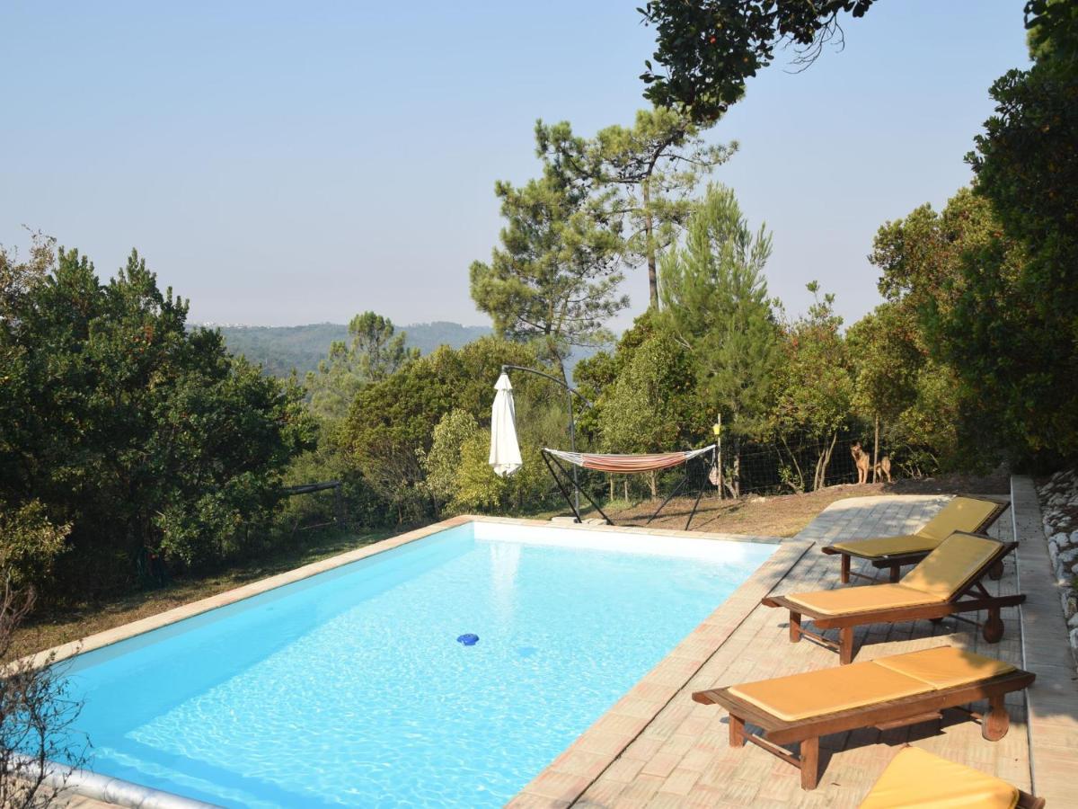 A Perfect Villa With Pool Terrace And Garden Alcobaça Eksteriør billede