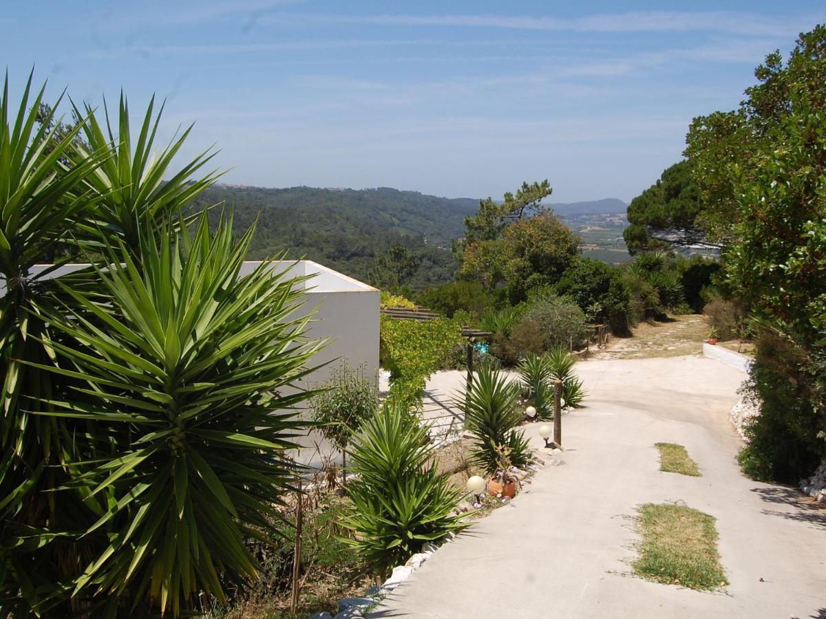 A Perfect Villa With Pool Terrace And Garden Alcobaça Eksteriør billede