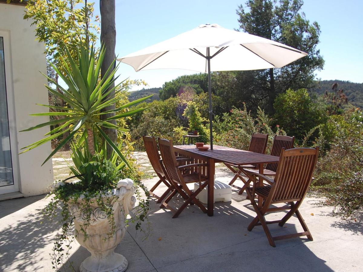 A Perfect Villa With Pool Terrace And Garden Alcobaça Eksteriør billede