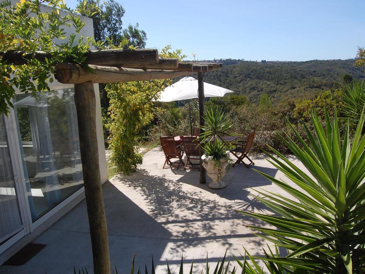 A Perfect Villa With Pool Terrace And Garden Alcobaça Eksteriør billede