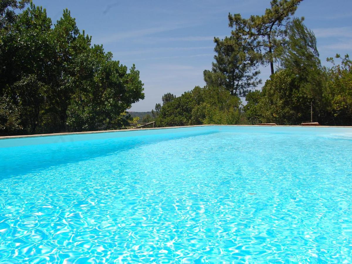 A Perfect Villa With Pool Terrace And Garden Alcobaça Eksteriør billede